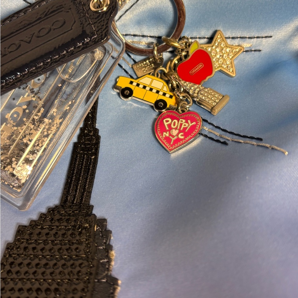 Coach Poppy New York Satin Tote Bag, Wristlet w/ Metallic Accents & Key Fob RARE - Picture 11 of 13